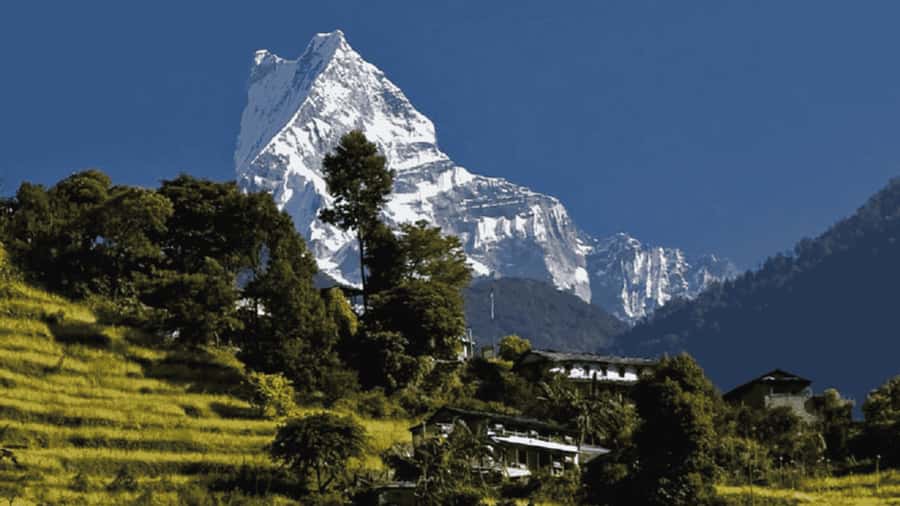 Pokhara: Guided Day Hike From Dampus To Australian Base Camp - Dhampus village and its Gurung setting