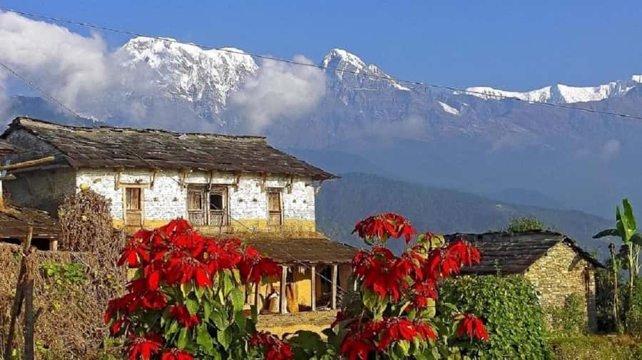Pokhara: Guided Day Hike From Dampus To Australian Base Camp - Following the trail through fields and rhododendrons