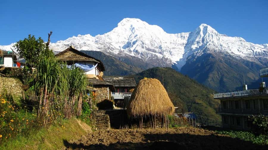 Pokhara: Guided Day Hike From Dampus To Australian Base Camp - Reaching Australian Camp at 2,100 meters