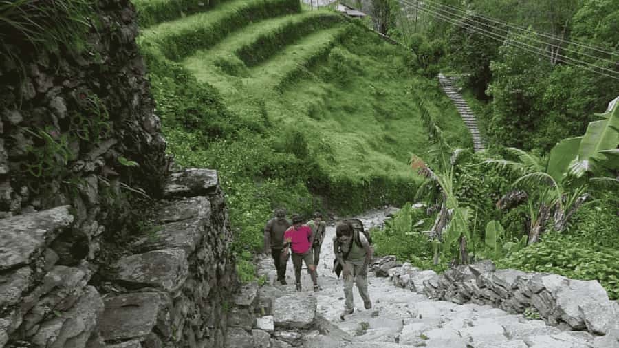 Pokhara: Guided Day Hike From Dampus To Australian Base Camp - The drive from Pokhara to Dhampus