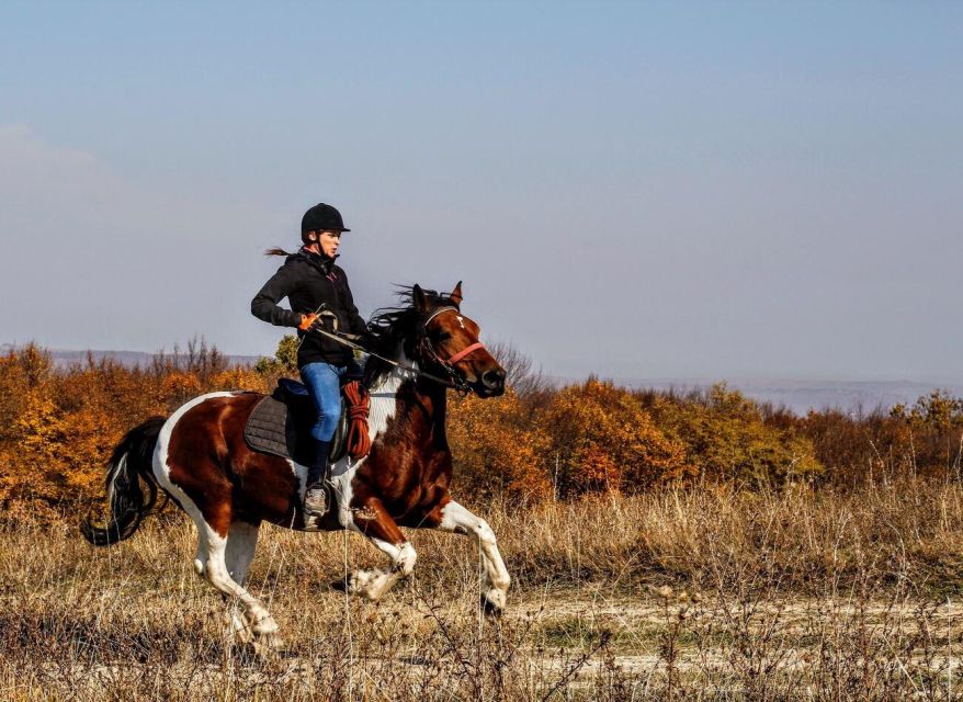 Pokhara: Horseback Adventure - Riding out from Pokhara’s Lakeside area