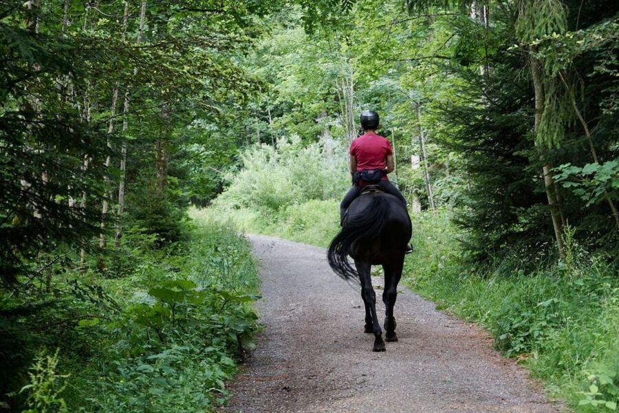 Pokhara: Horseback Adventure - The route is scenic, but the ride is not a mountain expedition