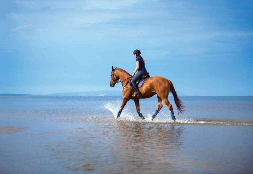 Pokhara: Horseback Riding Adventure with Hotel Pickup - Reaching the viewpoint above Pokhara