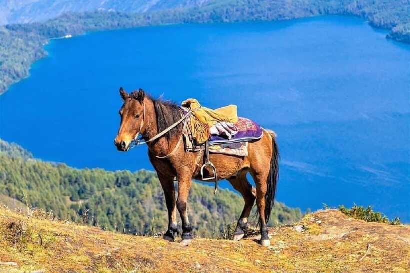 Pokhara: Horseback Riding Adventure with Hotel Pickup - How much value do you get for $32?