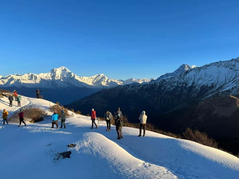 Pokhara: Majestic Mardi Base Camp Guided Trek with HotSpring - Day 2: Forest Camp to High Camp at 4,000 meters