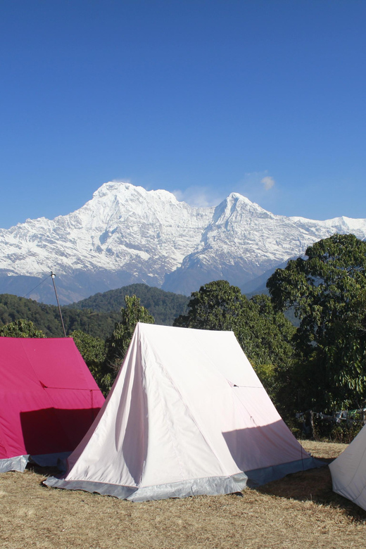 Pokhara: One night camping, campfire stay at Australian camp - Arriving at Australian Camp for the night