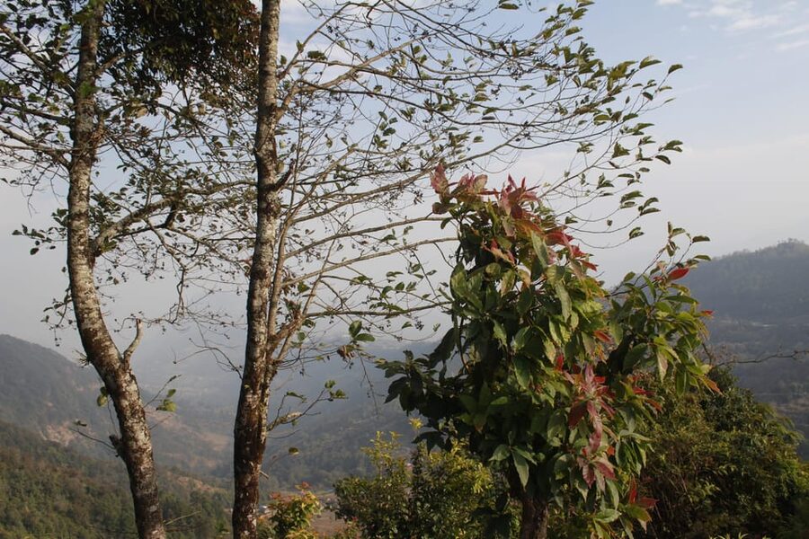 Pokhara: One night camping, campfire stay at Australian camp - Who should book this two-day camp