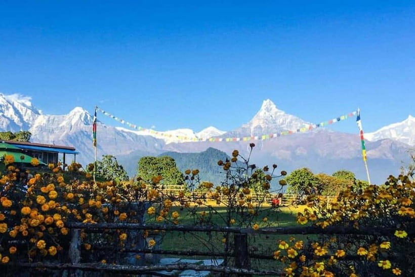 Pokhara: Poon Hill Trek - Key points to know before booking