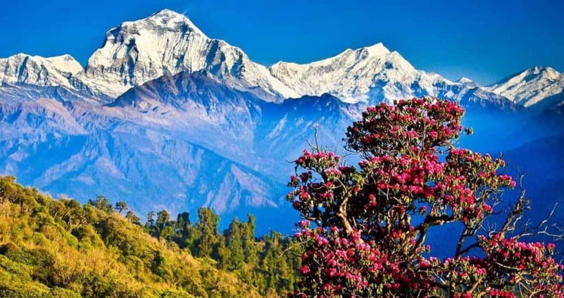 Pokhara: Poon Hill Trek - Best seasons, permits, and what to pack