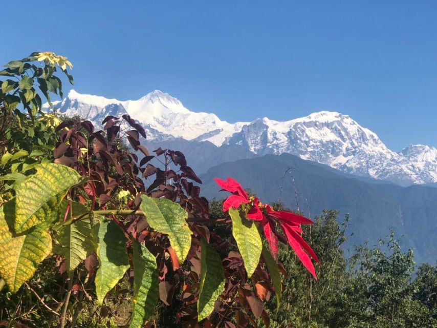 Pokhara: Sunrise Tour to Sarangkot - Practical ways to improve the morning