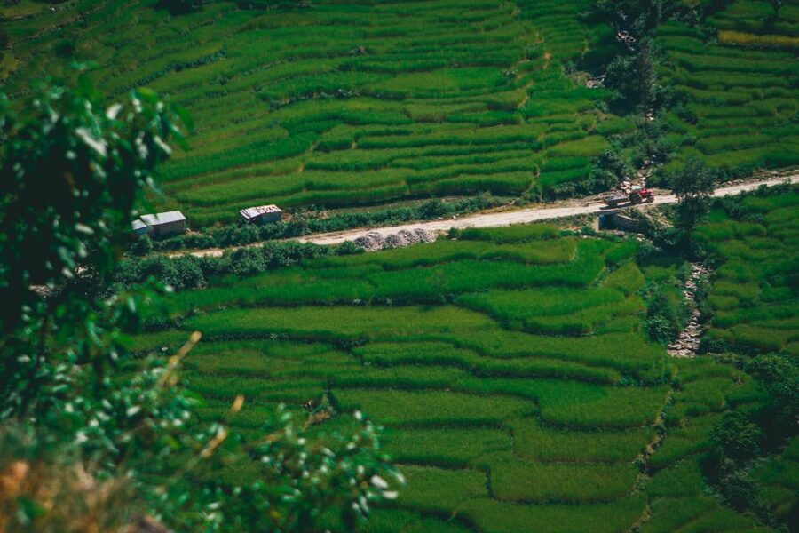 Pokhara: Suspension Bridge Private Tour- 30 Min Village Walk - Who will enjoy this outing most