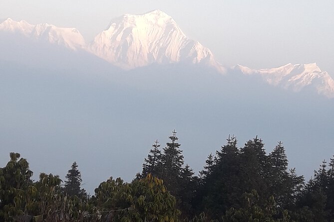 Poon hill Trek 3 days - The first climb to Ulleri and its 3,000 steps