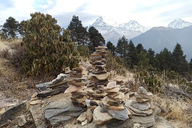 Poon Hill Trek from Pokhara 4 Days - Day 2: Ulleri to Ghorepani through Magar country