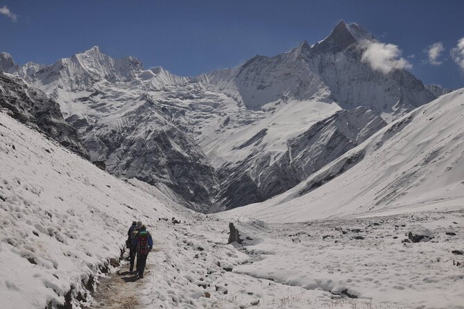 Private 7 - Day Annapurna Base Camp Trekking - Day 4: Along the Modi River to Annapurna Base Camp