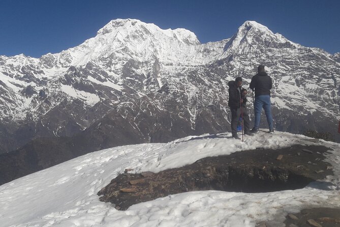 Private Mardi Himal Trek - Food, lodges, and mountain comforts