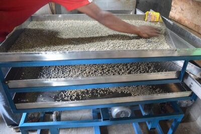 Sarangkot Village Coffee Culture and Authentic Local Life Tour