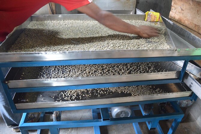 Sarangkot Village Coffee Culture and Authentic Local Life Tour - Khapaudi to Pandeli, the serious uphill section