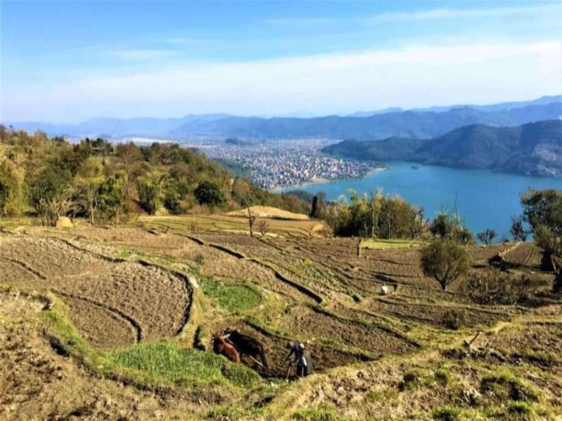 Seti George and Thrilling Suspension Bridge Tour at Pokhara - Crossing the suspension bridge
