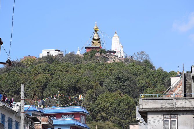 Seven World Heritage Day Tour in Kathmandu Nepal - Swayambhunath and Amideva Buddha Park