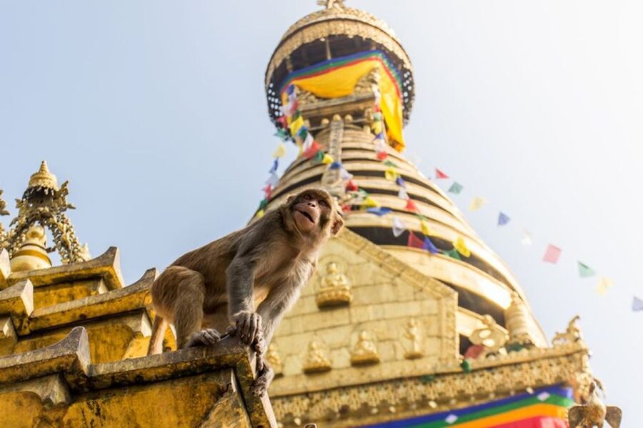 Spiritual Nepal: Expert insight into Multifaith Journey - Should You Book Spiritual Nepal?