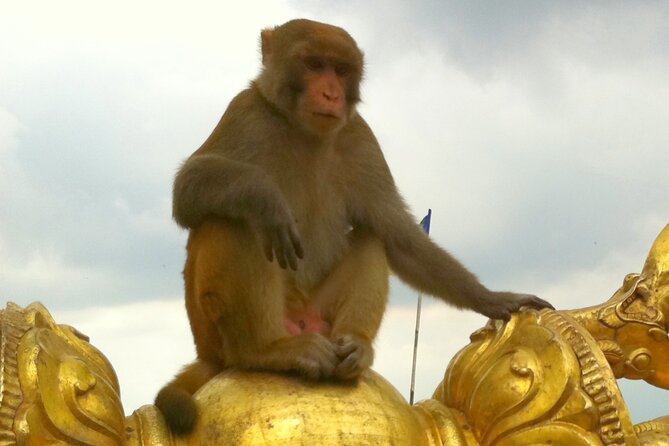 TOP 4 UNESCO World Heritage Sites Tour - Swayambhunath and the hilltop view